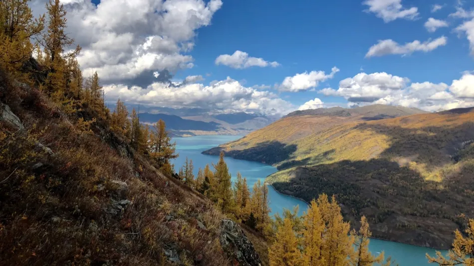 阿勒泰地区阿勒泰地区移动宽带